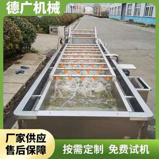 洗菜机海鲜全自动 花生大豆清洗机商用净菜加工流水线水果喷淋式