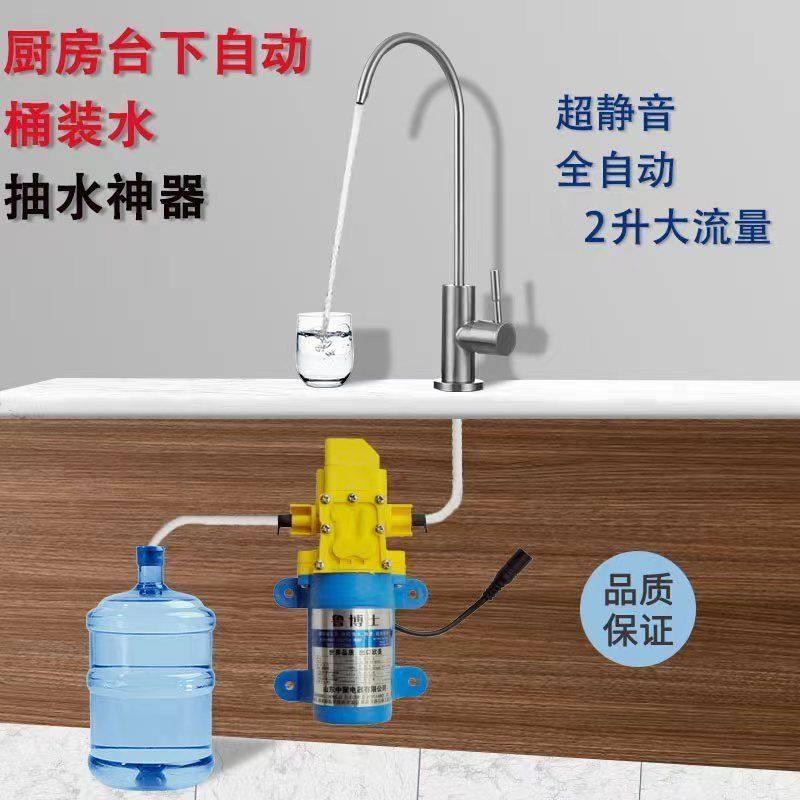台下桶装水抽水器电动抽水泵浦车载24V家用厨房220V饮用水吸水器