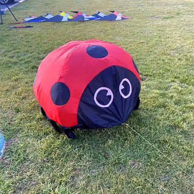 七星瓢虫风筝批发软体地瓢虫风筝外贸地景瓢虫无骨架软体潍坊风筝