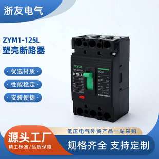 4300 3300 100A 80A保护开关 60A50A40A ZYM1 75A 125L塑壳断路器