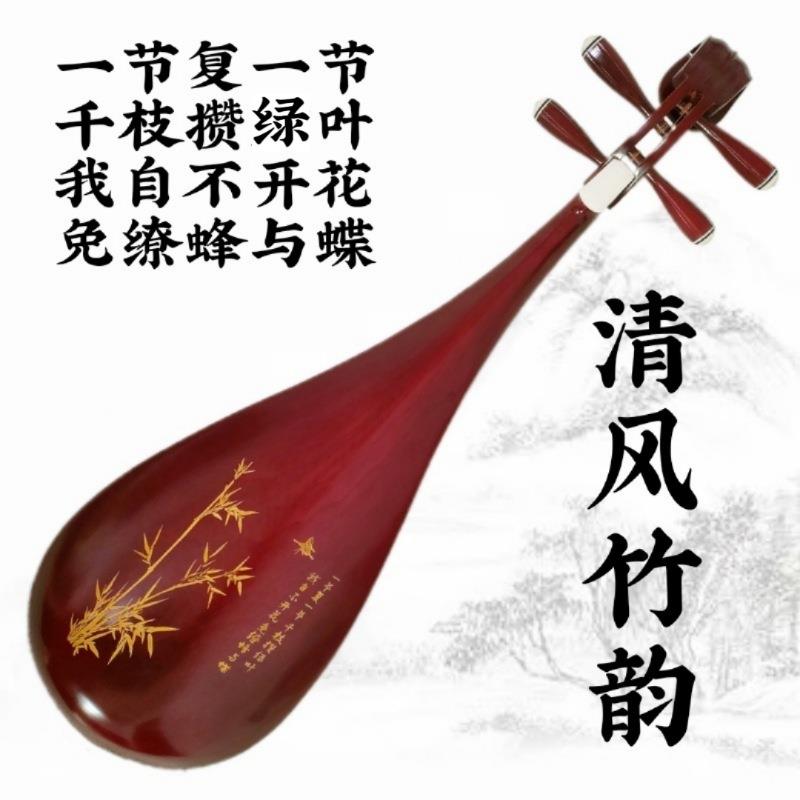 正品琵琶乐器初学入门儿童成人练习销考级庭教包学手工厂家直正家图片