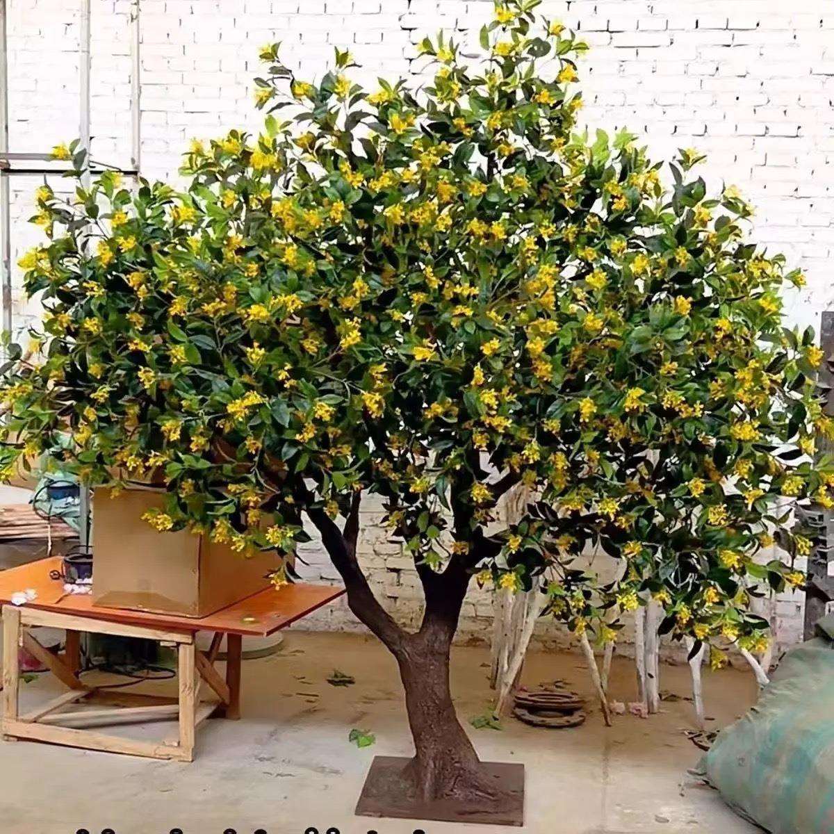 桂花树人造假树金桂花树室外工程造景摆设大型景观树绿植真