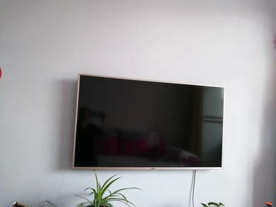 Re:海尔LS50A51 4K超高清智能 网络液晶平板电视好用吗?