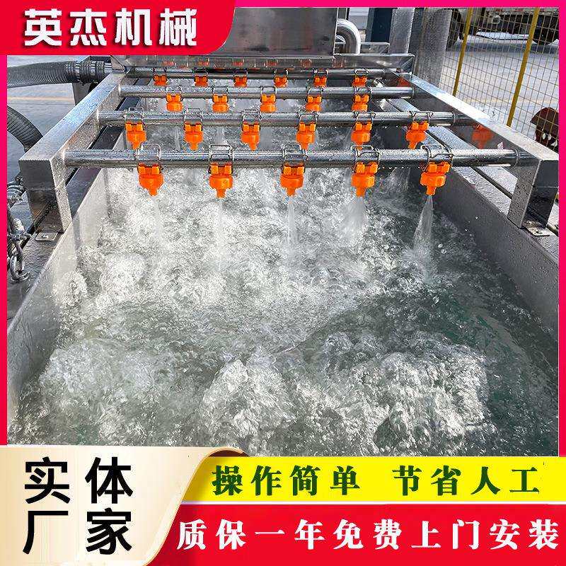 叶菜类蔬菜洗菜机器商用多功能果蔬清洗机不锈钢气泡清洗机厂家