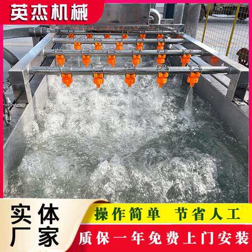 叶菜类蔬菜洗菜机器商用多功能果蔬清洗机不锈钢气泡清洗机