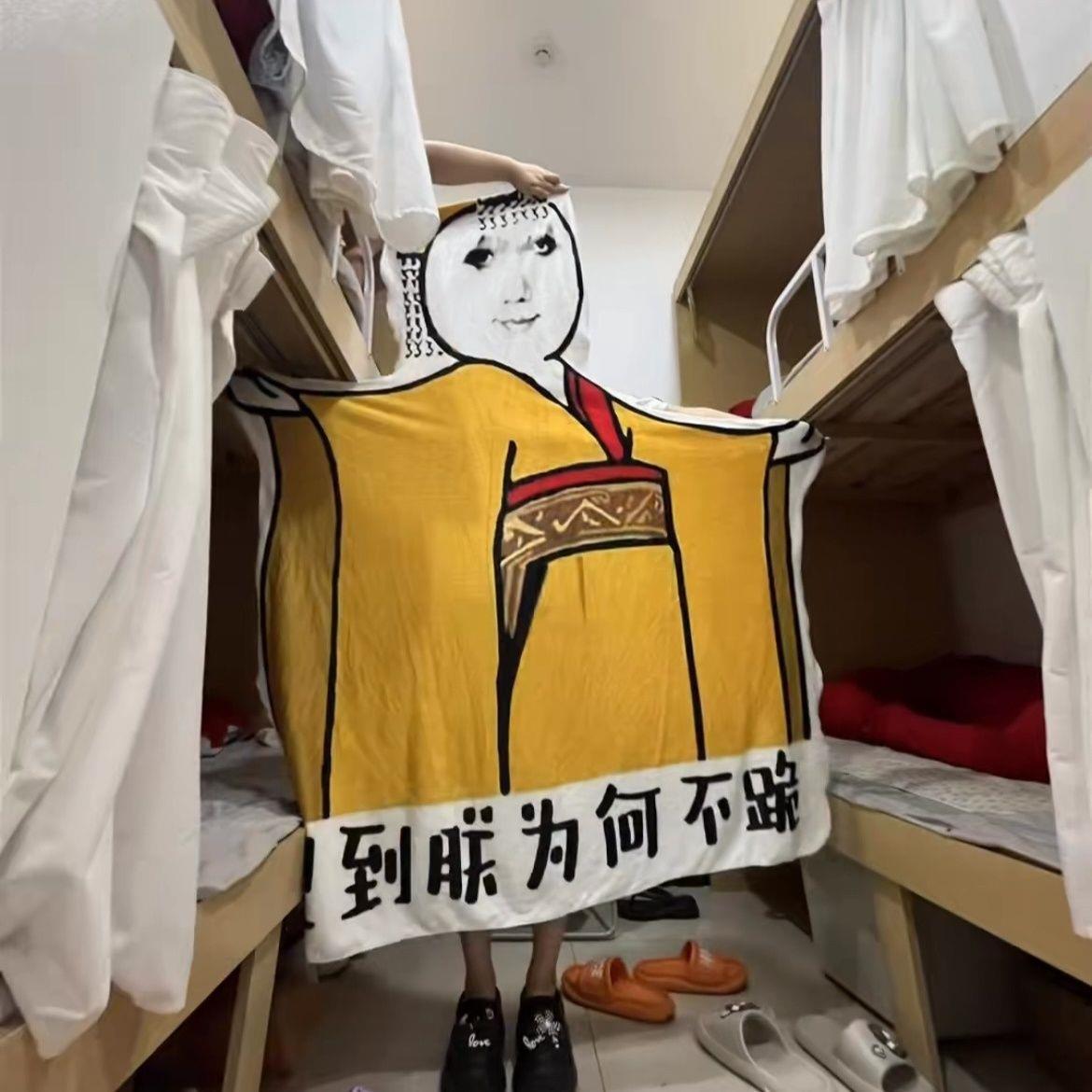 见到朕为何不跪毛毯宿舍椅子毯子皇帝龙图异型搞怪午睡毯子送朋友