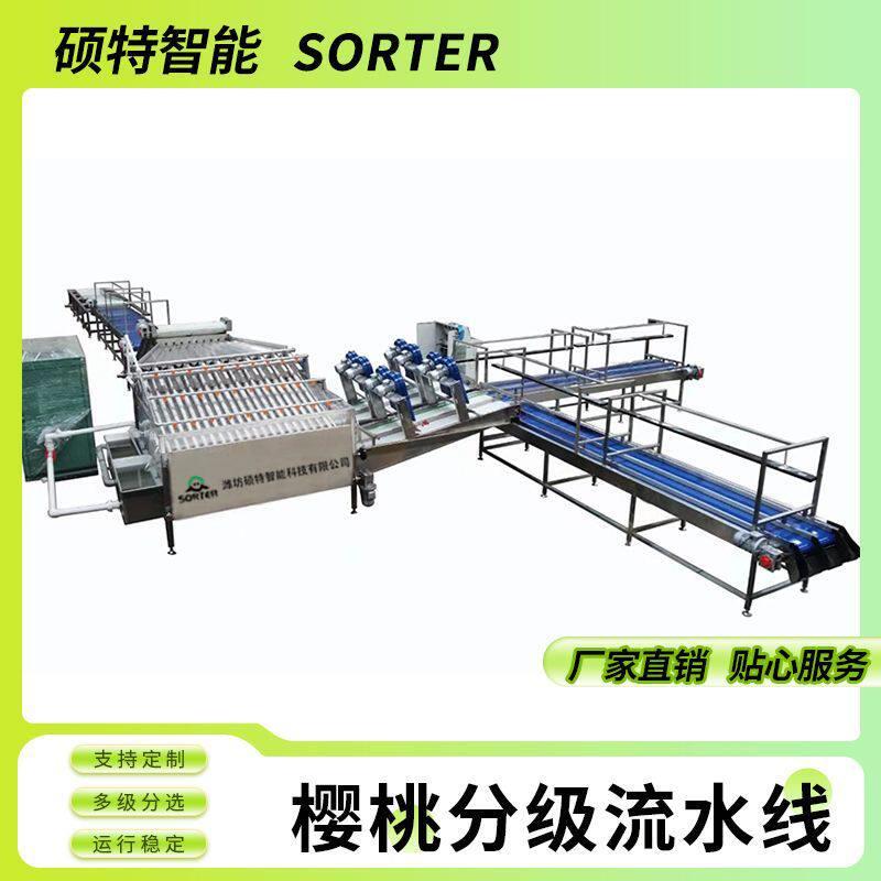 大樱珠直径选果机樱桃预冷清洗分拣流水线车厘子大小分级拣果机