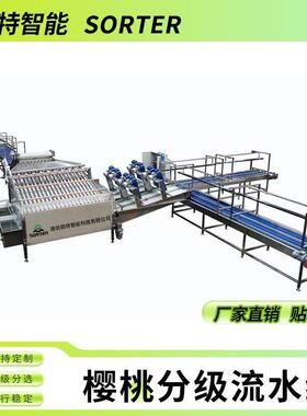 大樱珠直径选果机 樱桃预冷清洗分拣流水线 车厘子大小分级拣果机
