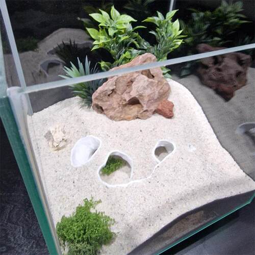 爬行动物宠物洞穴景观小鱼虾蟹龟蜥蜴蛇庇护屋繁殖室鱼缸水族馆沉