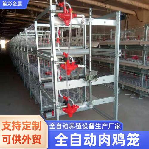 热镀锌肉鸡笼三层立式全自动传送喂料清粪家禽养鸡用养殖笼肉鸡笼