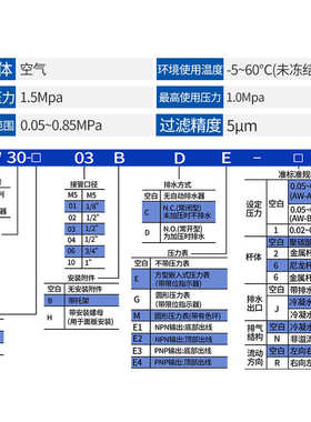 /a///be10-/dbe过滤器-型4030/smc-04调压a02aw20  m503