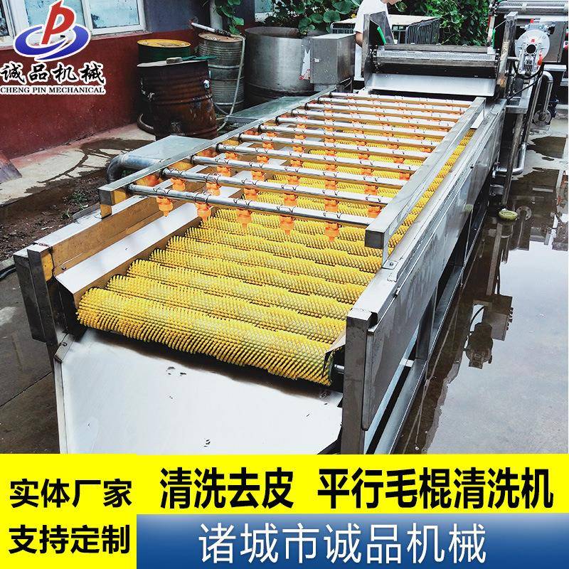 平行式毛辊清洗机 商用红薯山药清洗脱皮机 海蛎子海螺去泥清洗机