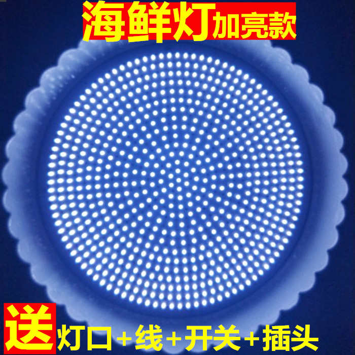 LED海鲜灯大功率偏蓝色加大加亮黄鱼全暖三文鱼生鲜带鱼冻货