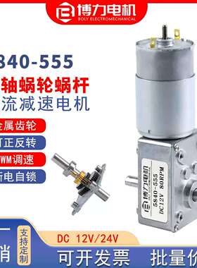 BL5840-555双轴蜗轮蜗杆直流减速电机12v24v微型可调低速小马达