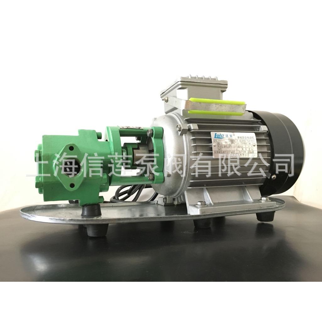 齿轮泵 WCB-75微型输油泵 自吸便携式油料运输泵 手提式油桶油泵