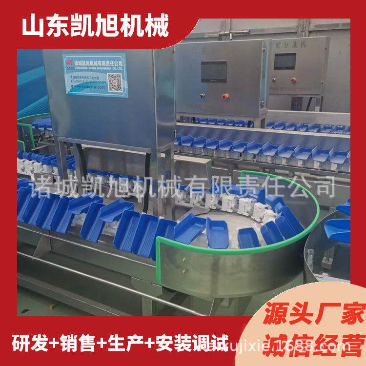 马蹄全自动称重分选机 西红柿动态克重分拣机 厂家直供质量优