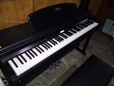 新人诉说华星钢琴怎么样?来自真实网友的评价心声