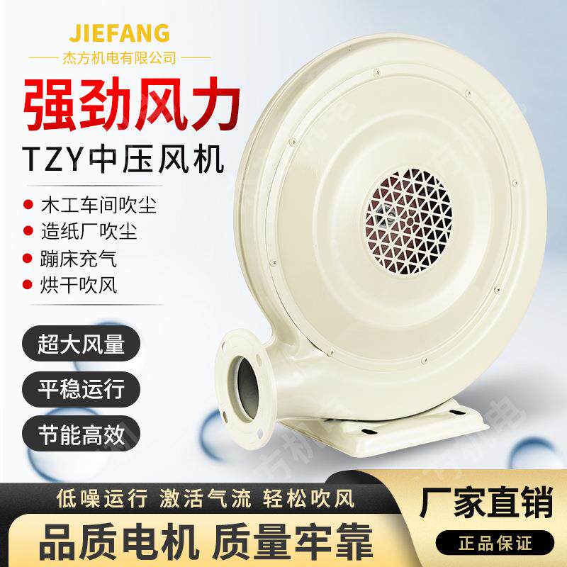 厂家CZR250W 220V铁壳鼓风机中压吹风彩虹门鼓风机大风量铜线