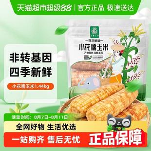 包邮丛林千味云南西双版纳新鲜花糯小玉米儿童拇指玉米营养早餐