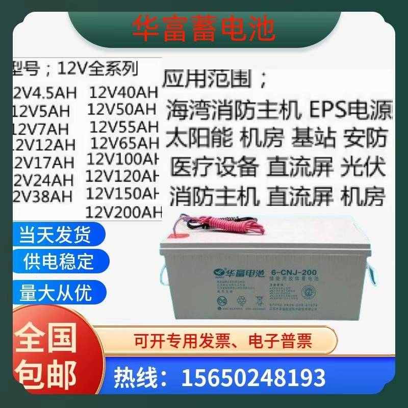 华富储能胶体蓄电池6-CNJ/GFM12V7A24A38A40A65A100消防直流屏EPS