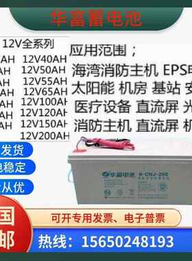 华富储能胶体蓄电池6-CNJ/GFM12V7A24A38A40A65A100消防直流屏EPS