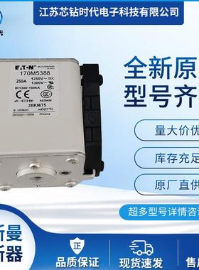 170M5391 170M5392 170M5393 巴斯曼BUSSMANN熔断器保险丝