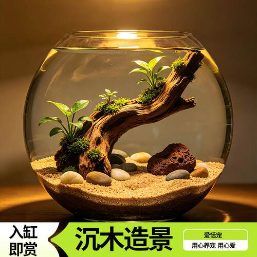 天然秒沉紫柚沉木条状树枝鱼草缸造景水族装饰枯木晒龟爬宠躲避台