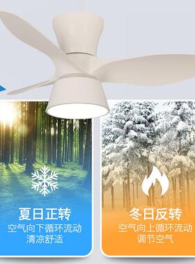 全FS-1002光谱网奶油风家扇吊红灯室大风力吸顶餐厅客厅用一体卧