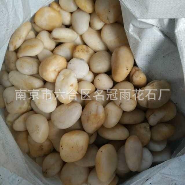 黄色鹅卵石南京天然雨花石抛光五彩石园林景观石水洗石造景铺路