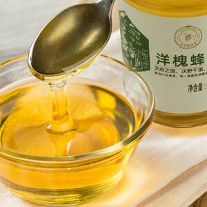 杨氏蜜蜂园自然成熟蜂蜜洋槐蜜 槐花蜜塑料瓶950g 实惠大瓶装