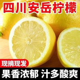产地直发新鲜黄(新鲜黄)柠檬5斤装单果，80克以上当季新鲜水果柠檬