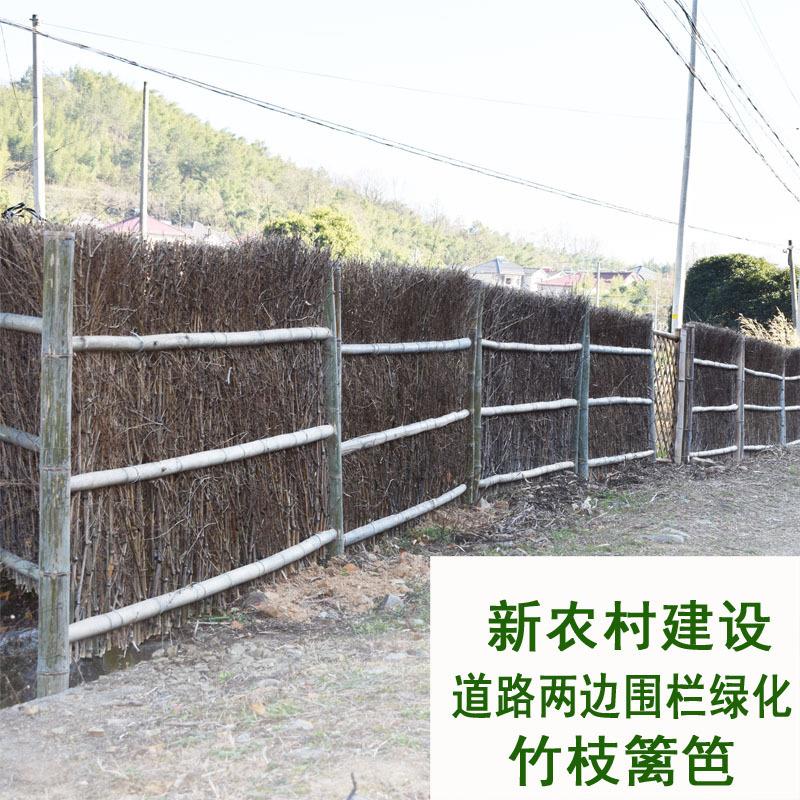 农家民宿庭院栅栏竹枝条围栏楠竹枝屋顶装饰细竹稍丝户外篱笆围墙