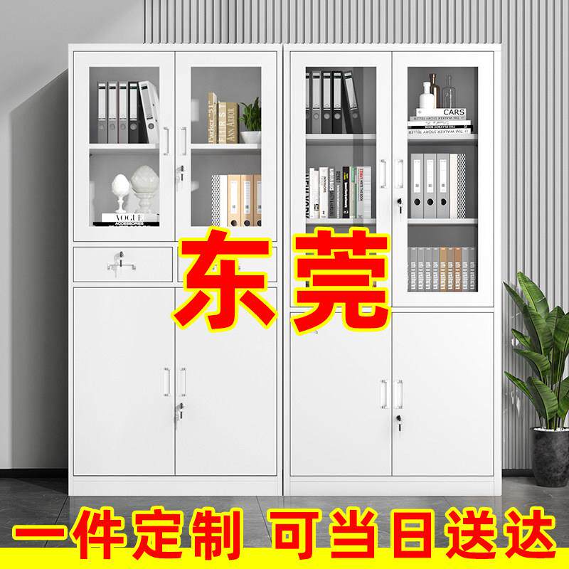 东莞钢制文件柜办公室铁皮柜子资料柜档案柜带锁矮柜财务凭证柜