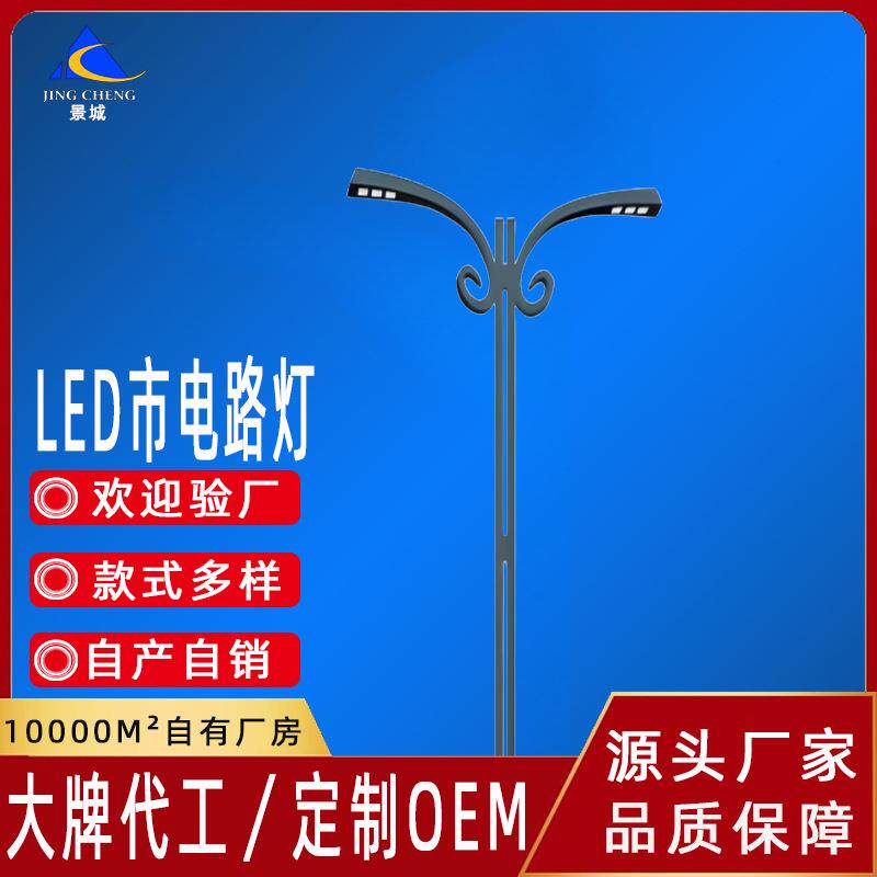 10米双路臂锌YLF灯热镀6米8米2米路灯杆公路城市1亮化市电路灯