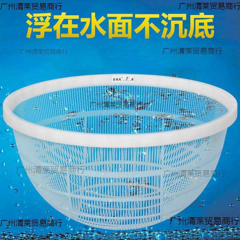 鱼虾苗分级筛塑料鱼筛子圆形大小鱼苗分类朝筛寸纱鱼泥鳅龙虾