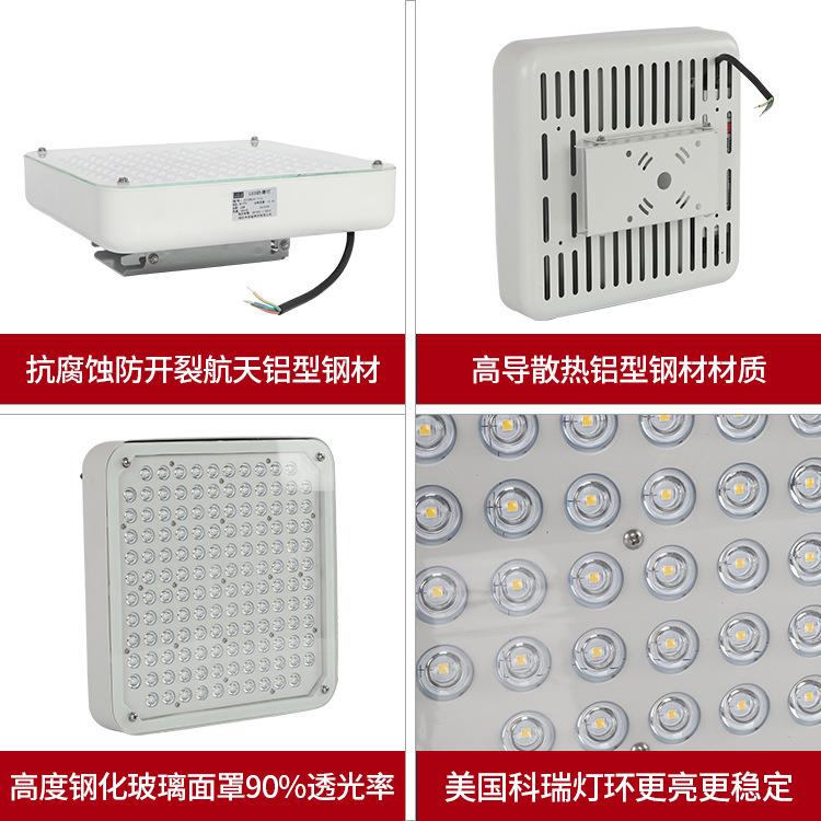 150W防爆灯中石化石油防爆灯加油站灯led防爆灯天棚灯应急灯