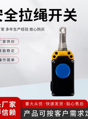 安全拉线开关ZGLS-LX-S 安全拉绳开关（手动）开关安全拉线 手动