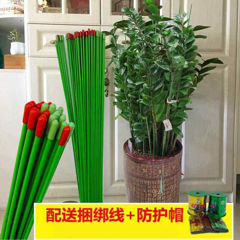 室内花架子金钱树绿萝蔬菜瓜果爬藤支架花卉植物支撑杆兰花固定架,住宅家具,花架/花几,淘宝优惠券,粉丝福利购,淘宝优惠卷