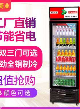 展示柜单门啤酒学校饭店便利店超市专用展示柜饮料柜 冰柜