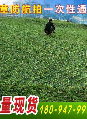 防航拍伪装网迷彩网绿化网遮挡防伪网户外迷彩遮阳网遮光网草绿色