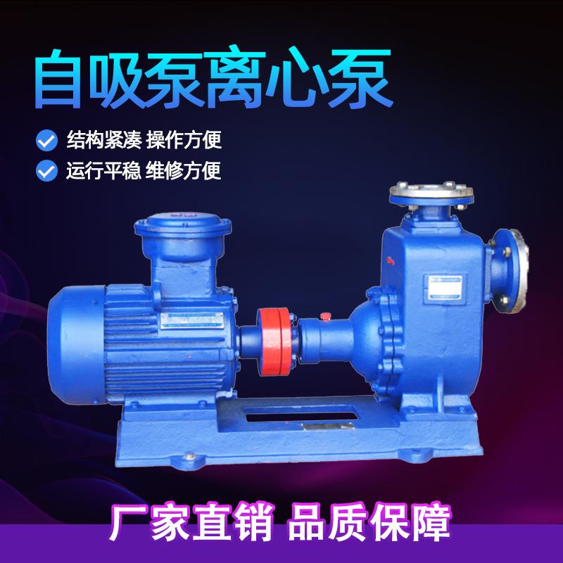 自吸离心泵自吸泵自吸清水泵卧式自吸离心泵铸铁工业泵