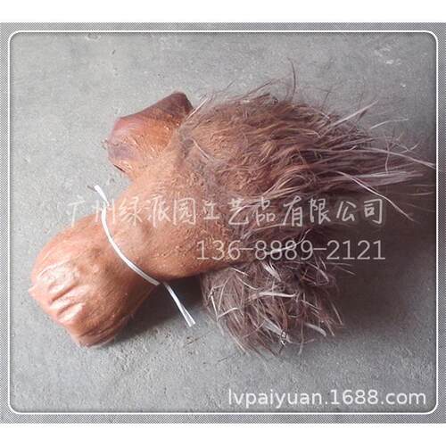 仿真棕扇葵唐棕蒲葵绿植盆栽 人字皮小棕榈树大型摆件软装造景树