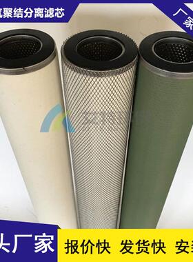 厂产家生端盖做防处理丁10晴橡胶锈密封圈聚结分离滤芯LCS4HHH