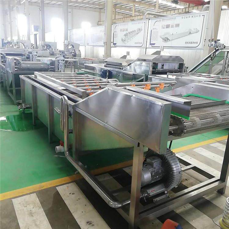 檀香清洗机莲子百合核桃气泡清洗机香椿豆芽净菜清洗设备洗果机