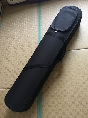 分析南雁古琴怎么样？音质差不差，用后反馈内幕