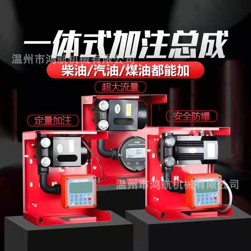 12V大功率定量加油机220V抽油泵加注机总成24V便携柴油汽油加油泵