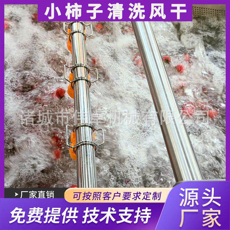 供应自动泡喷清洗机MAGA-102红枣气泡清洗机设备连全续淋式果蔬清