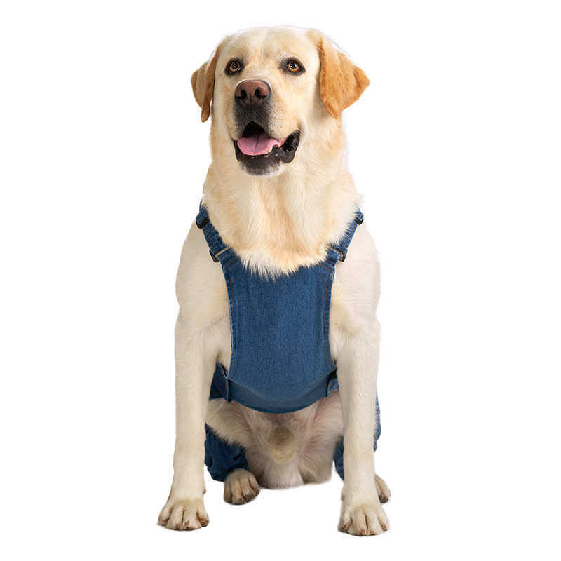 牛仔大中四脚衣大型犬背带裤狗狗代发拉布拉多宠物电商衣服狗
