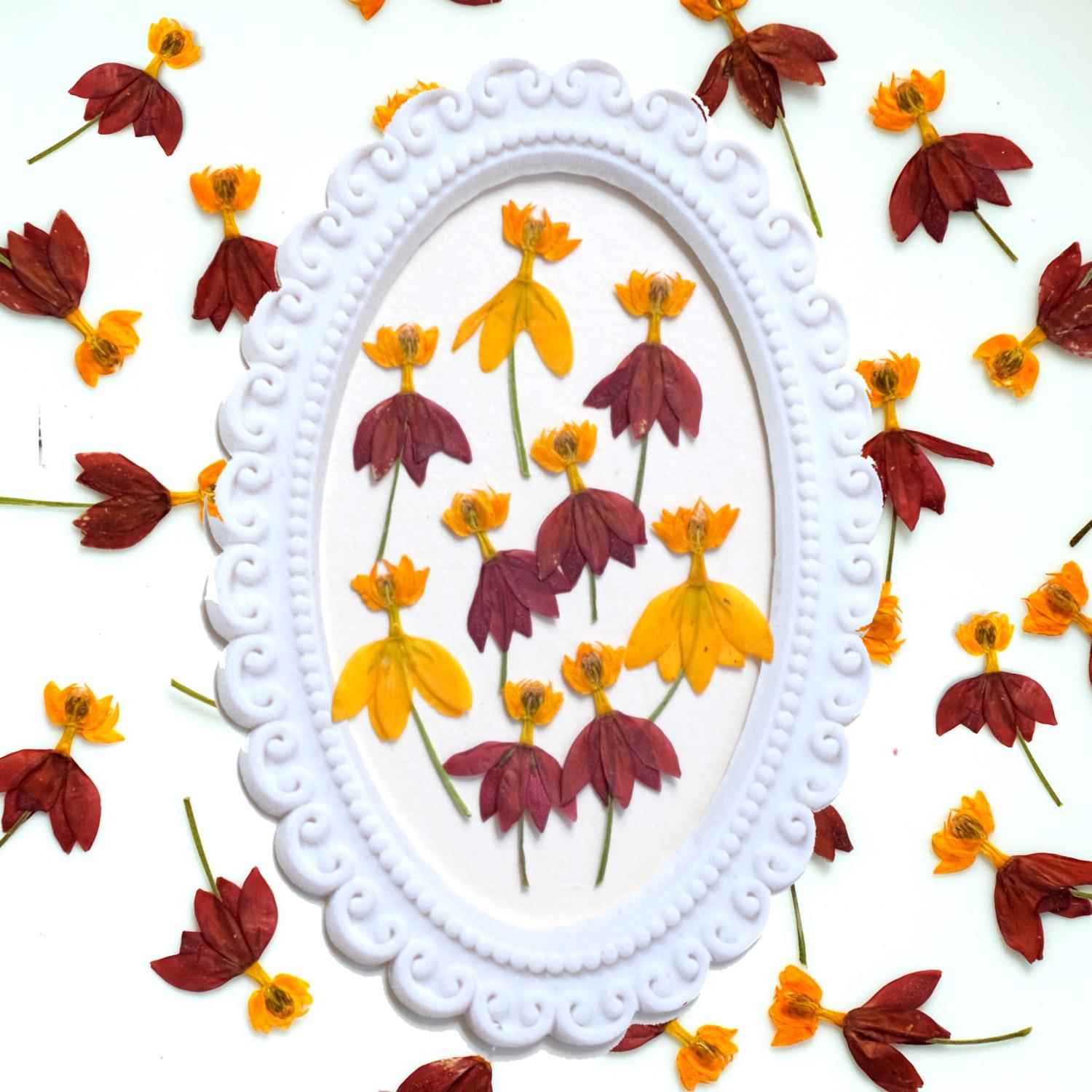 跳舞花 马利筋压花植物标本押花i迷你滴胶贴画手机壳小花贴脸美妆