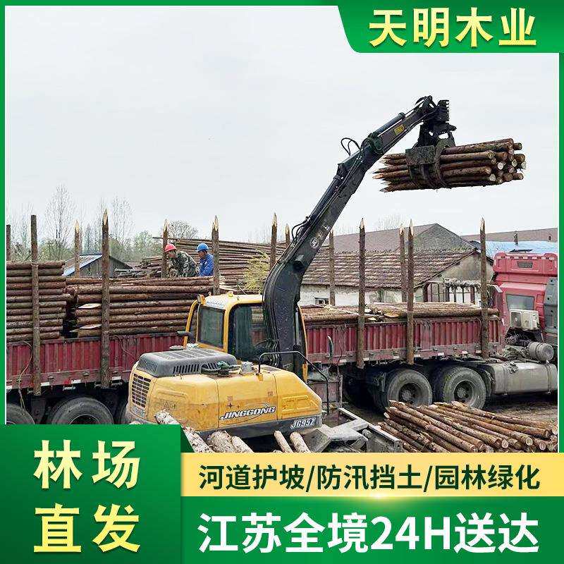 河道工程建筑专用松木桩打桩圆木桩 防汛木桩 松木桩围栏